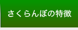 さくらんぼの特徴