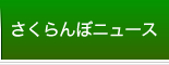 さくらんぼニュース